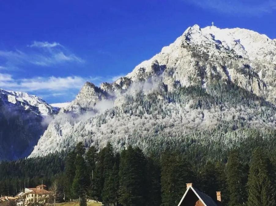 Vila Bianca Buşteni Exteriör bild